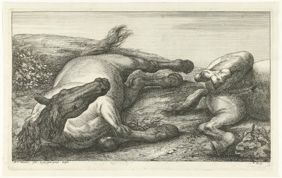 Deux chevaux morts dont le gauche vu de face (Chevaux morts) - Jan van Huchtenburg