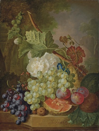 Fleurs, raisins, prunes, noix et melon sur une corniche en pierre - Jan van Os