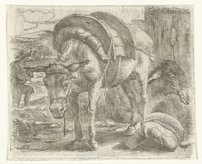 Âne de bât - Jan van Ossenbeeck