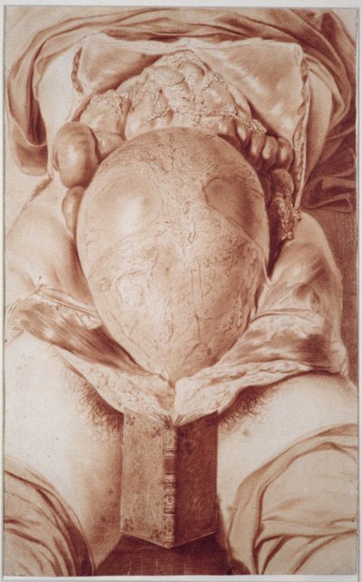 Dessin de la plaque XXVI du MS Hunter 658 du livre 