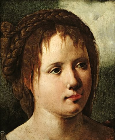 Tête de fille, 1530-35 - Jan van Scorel