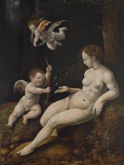 Vénus et Deux Cupidons - Jan van Scorel