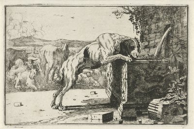 Chien près d