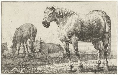 Chevaux et vaches
Dieren (titre de la série)
Zoographiam (titre de la série) - Jan van den Hecke