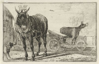 Deux ânes - Jan van den Hecke