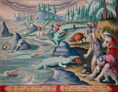 Capture de crocodiles sur les rives du Nil en utilisant des porcs attachés comme appât, planche 87 de 