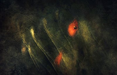  - Jan van der Linden