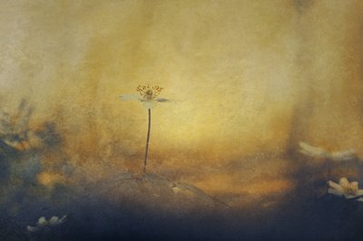  - Jan van der Linden