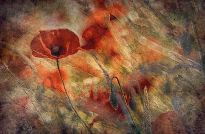  - Jan van der Linden