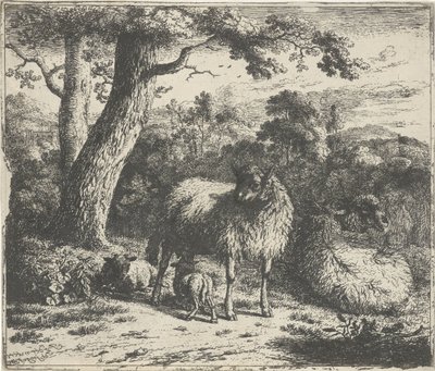Mouton debout avec deux agneaux - Jan van der Meer (II)
