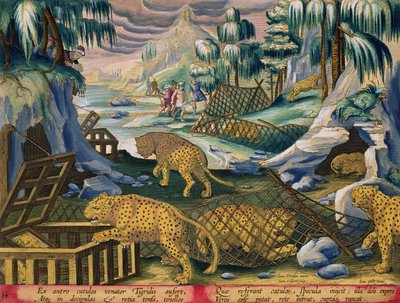 Capture de léopards à l