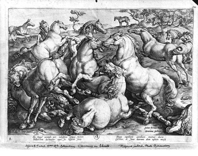 Chevaux dans la nature - Jan van der Straet