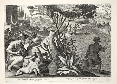 Chasse à la caille, illustration de 