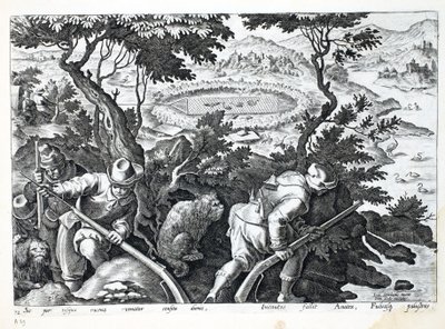 Chasse aux canards, illustration de 