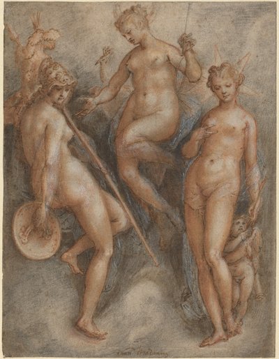Trois déesses : Minerve, Junon et Vénus - Jan van der Straet