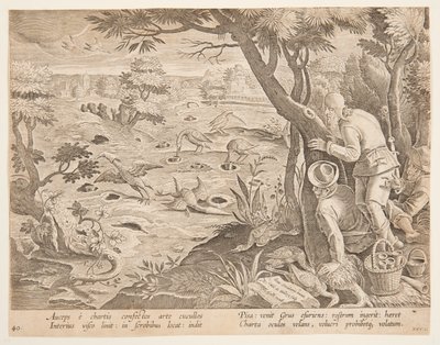 Chasse à la grue avec des cônes, planche 28 de la série Venationes Ferarum, Avium, Piscium - Jan van der Straet, called Stradanus
