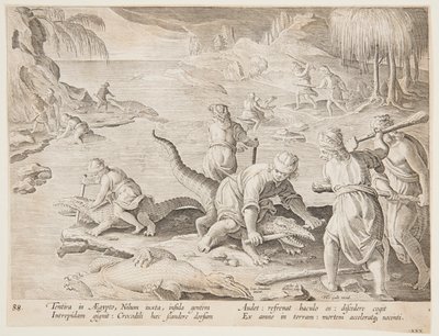 Chasse au crocodile à Tentyra, en Égypte, planche 30 de la série Venationes Ferarum, Avium, Piscium - Jan van der Straet, called Stradanus
