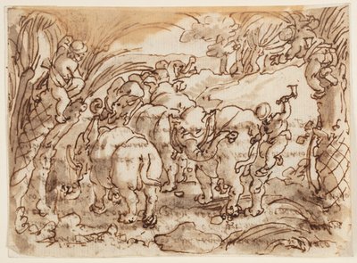 Recto : Éléphants chassés par des troglodytes ; Verso : inscription relative à l