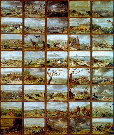 Animaux. Tableau montrant des compartiments correspondant à différentes espèces animales. Peinture de Jan Van Kessel - Jan van the Elder Kessel