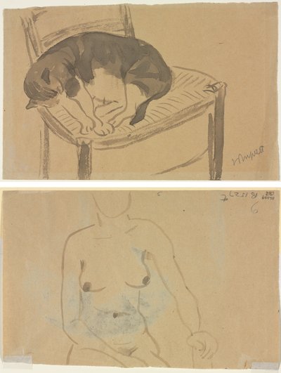 Chat endormi (recto) Torse d