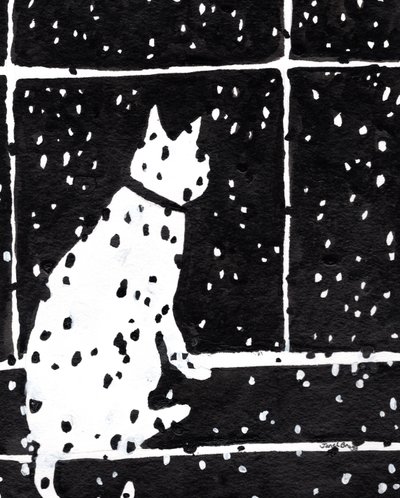 Chat à la fenêtre pendant une tempête de neige, vers 2019 - Janel Bragg