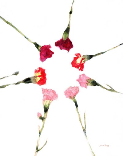 Œillets circulaires, c.2019 - Janel Bragg