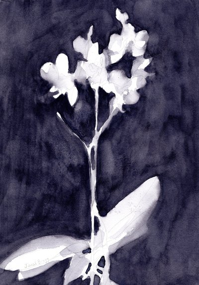 Impression d