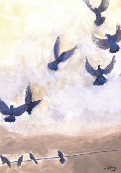 Pigeons en vol à Anacortes - Janel Bragg