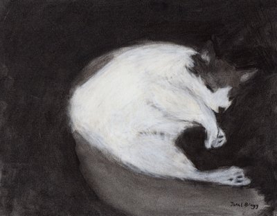 Thomas Taking a Nap, c. 2018 (fusain et pastel sur papier) - Janel Bragg