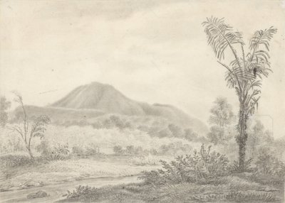 Paysage javanais avec montagne et palmier - Jannes Theodorus Bik