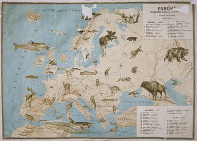Carte des animaux en Europe - Janos Balint