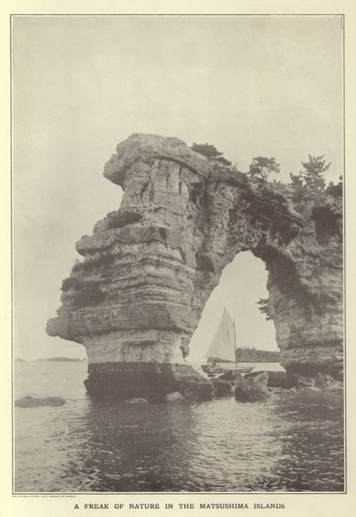 Une curiosité de la nature dans les îles Matsushima - Japanese Photographer
