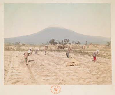 Mont Fuji et terres agricoles, de 