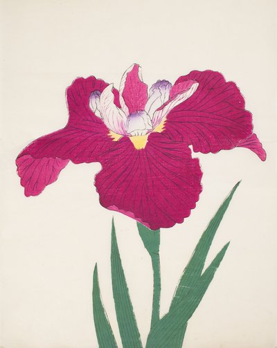 Date-Dogu, No 2, 1890 - Japanese School