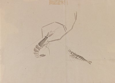 Dessin de deux écrevisses - Japanese School