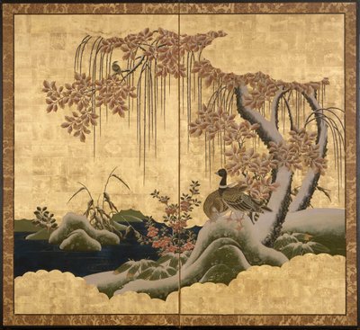Canards - Japanese School