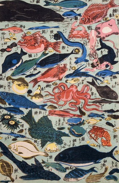 Poissons frais, mollusques et crustacés - Japanese School