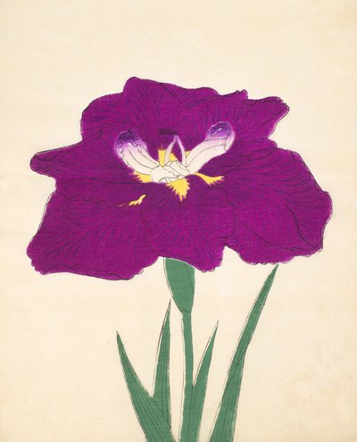 Hizume-no.-Hyoshi, no.29, 1898 - Japanese School