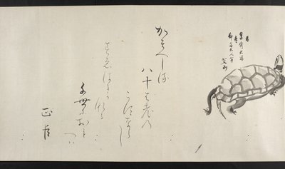 Or. 14872, f.29, Une tortue, de Yoshida Seisai - Japanese School