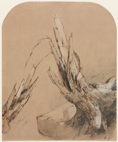 Un arbre foudroyé recto Plan d