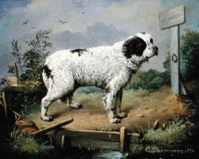 Un Terre-Neuve sur un talus - Jean Baptiste Desgrange