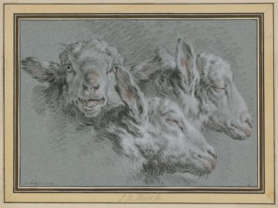 Trois têtes de mouton, éveillées et endormies - Jean-Baptiste Huet
