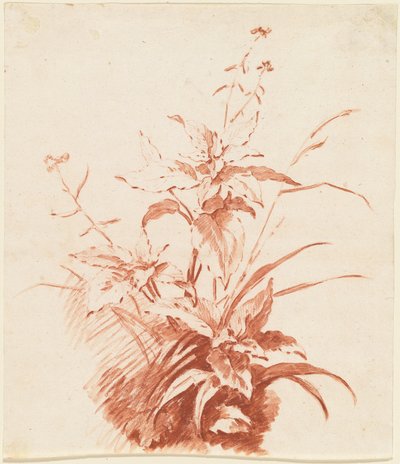Plante fleurie avec herbe - Jean-Baptiste Huet