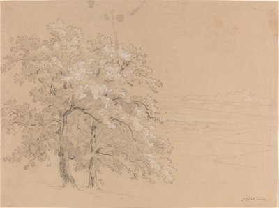 Arbres ensoleillés devant un paysage panoramique - Jean Antoine Linck
