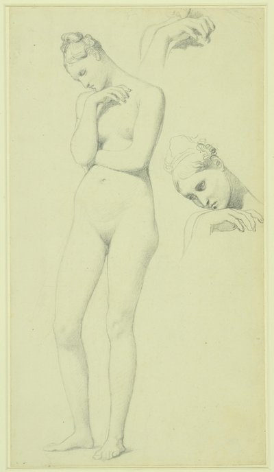 Études pour la figure de Stratonice, vers 1834-40 (crayon sur papier) - Jean Auguste Dominique Ingres