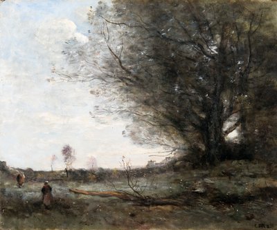 Le hêtre, vers 1865 (huile sur toile) - Jean Baptiste Camille Corot