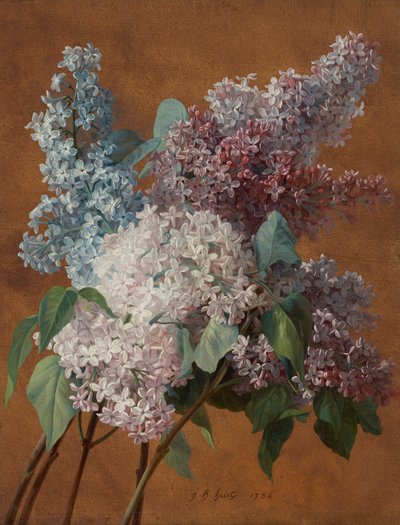 Une étude sur les lilas - Jean Baptiste Huet