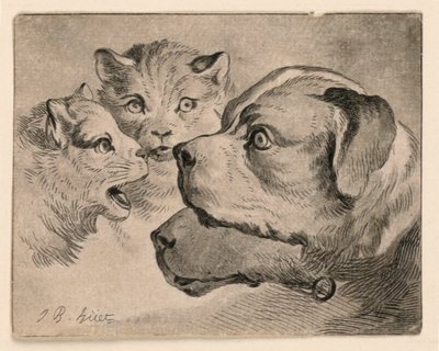 Têtes de chats et de chiens - Jean Baptiste Huet