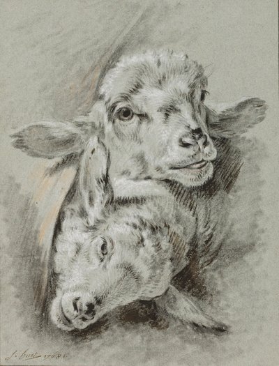 Étude de deux moutons, 1768 - Jean Baptiste Huet