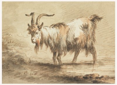 Dessin, Étude d